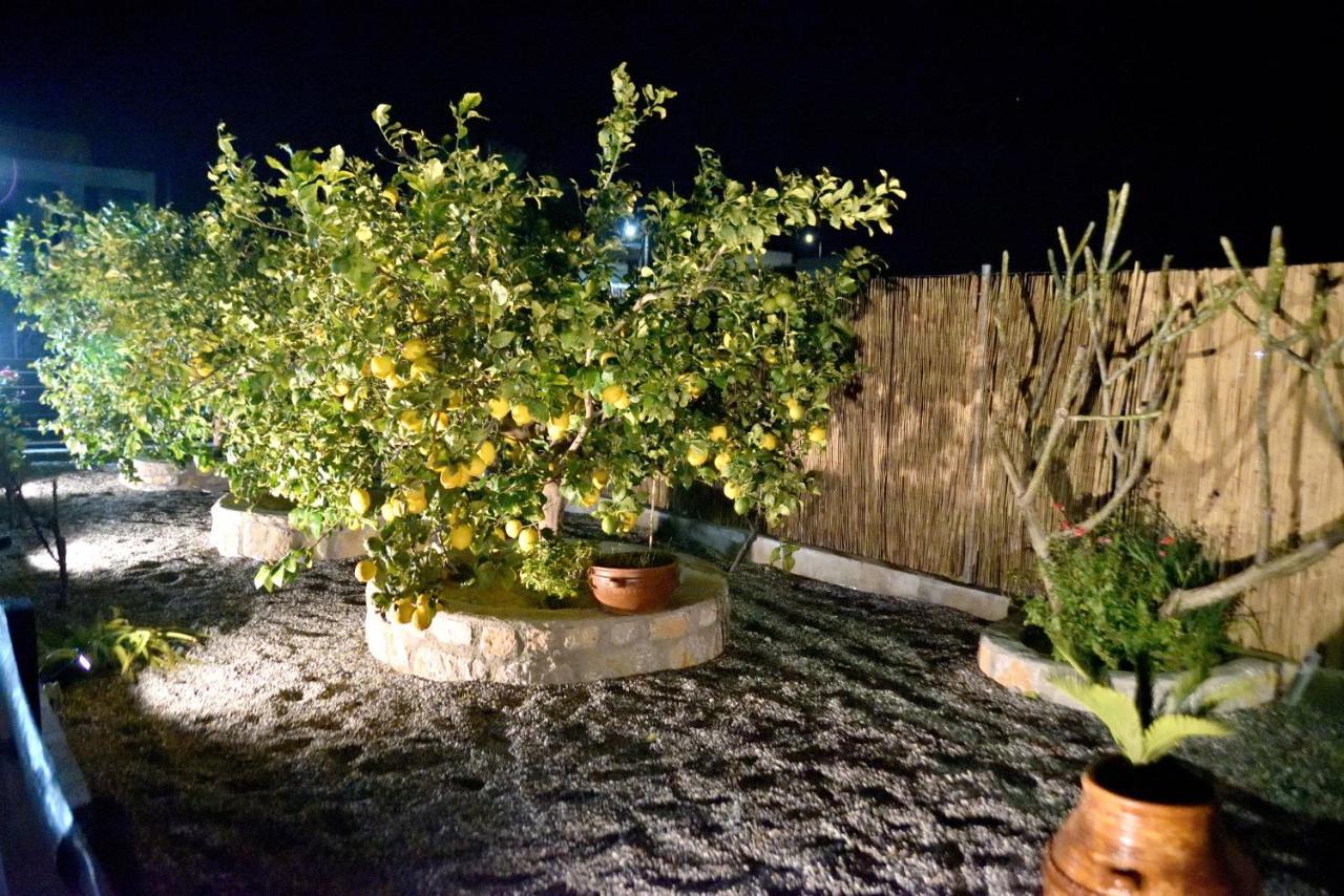 Plumeria House Archangelos  Extérieur photo